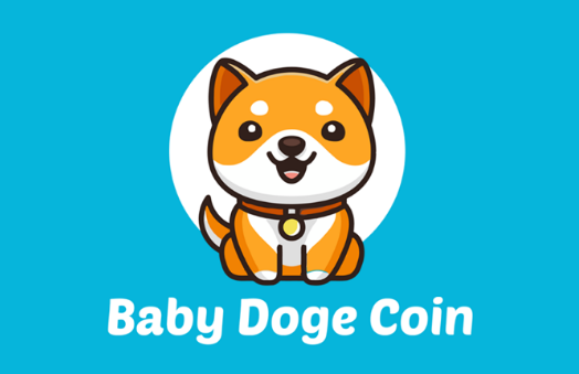 BabyDoge币是骗局吗？